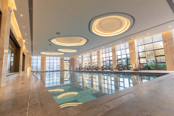 重庆狗狗享受专业按摩，健康快乐“汪汪”叫